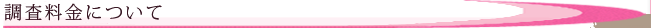 調査料金について